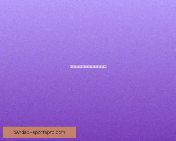 半岛体育官网入口全新上线带来便捷注册与精彩赛事体验